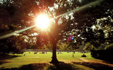 Zhongshan Park