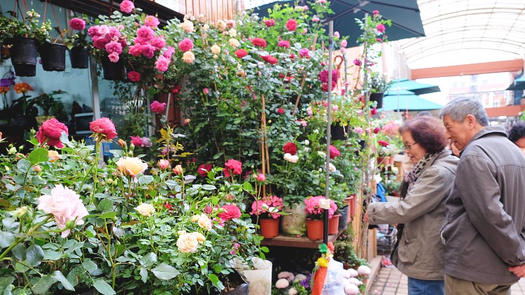 Lanling Flower and Bird Market