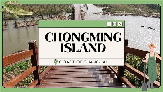 The best things to do on Chongming Island